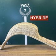 Chistera Hybride